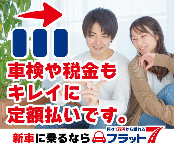 定額画像